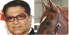 What's Deepak Chopra got to do with horses? The same goals of happiness for all...