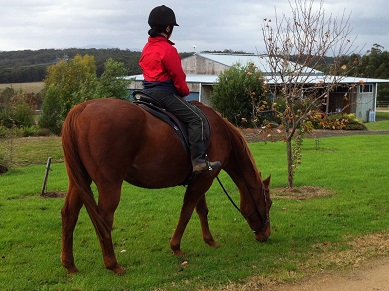 Haruko working on her seat in the Grazing Exercise.