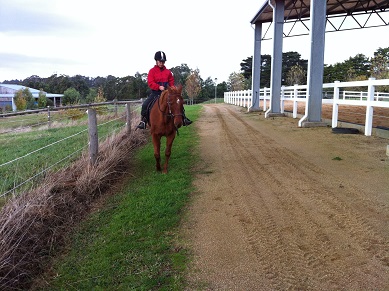 Haruko & Ron on her first ride outside an arena.