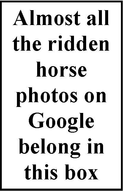 ridden horse photos text