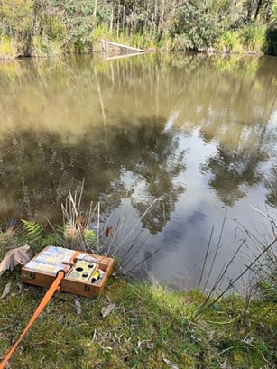 My radionics machine for making homeopathic medicine was far too close to the water for comfort and needed to be tied down so it didn't fall in.
